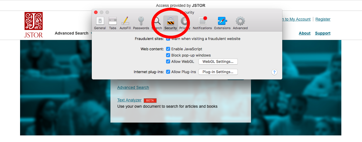 Security tab in preferences menu.