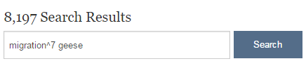 migration-carrot-geese.png
