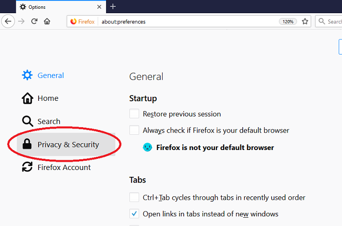 Privacy and Security menu selected on screen
