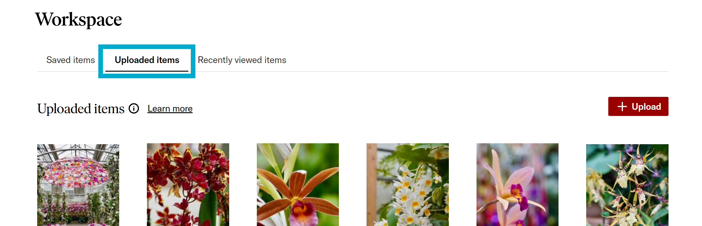 Uploaded Items tab in JSTOR Workspace