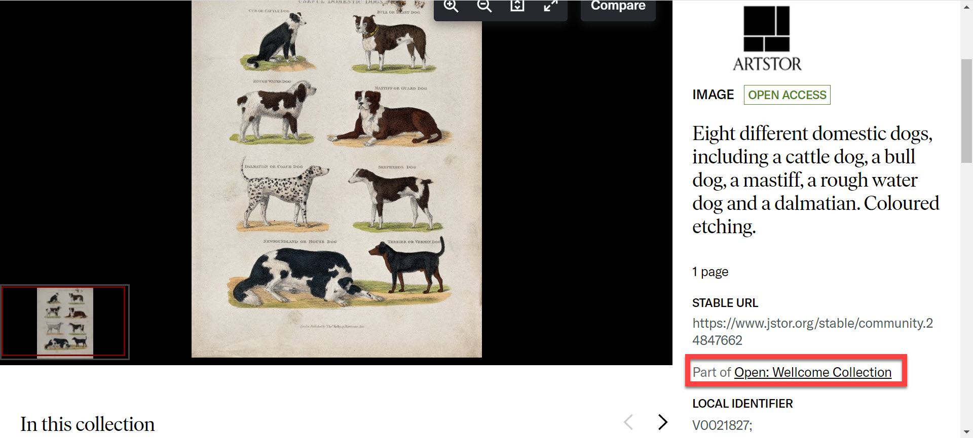 Workspace example of a Part of Collection titled Eight Different Domestic dogs image is part of the Wellcome Collection