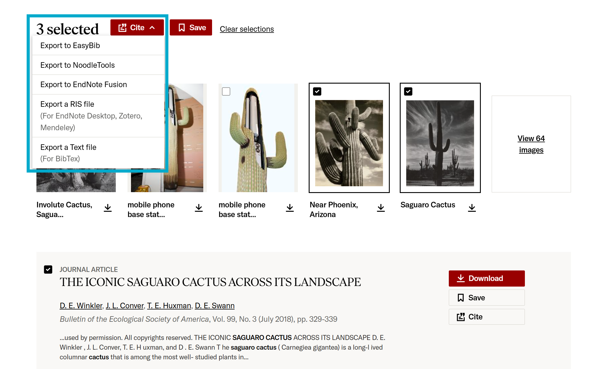 Citing a combination of images and text items from the search results page